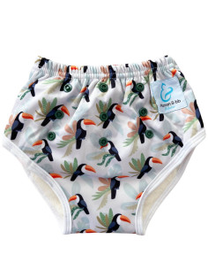 Learning panties to cleanse scalable waist bamboo