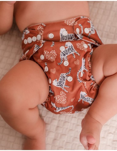 Couche Lavable pour bébé Tout en deux TE2 avec système évolutif