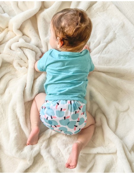 Couche Lavable Tout en deux TE2 avec système évolutif