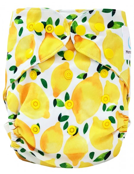 Couche Lavable Tout en deux TE2 avec système évolutif