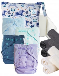 Start and Go TE2 washable layer launch kit with bamboo inserts