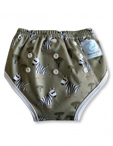 Learning panties to cleanse scalable waist bamboo