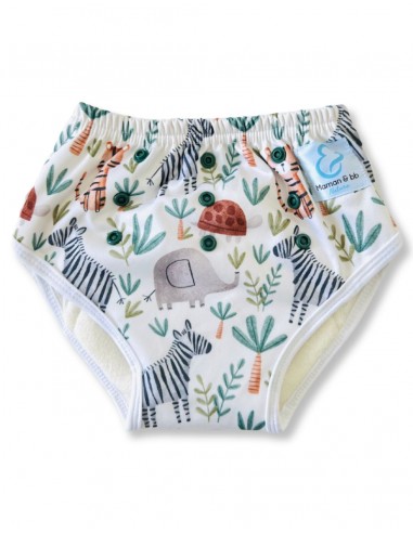 Learning panties to cleanse scalable waist bamboo