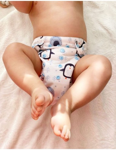 Lot 10 couches lavables tout en deux Te2 à doubles goussets + 10 inserts en bambou