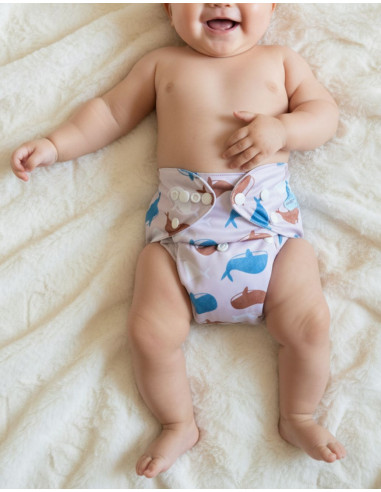 Lot de Couches lavables te1 évolutives et inserts pour bébé