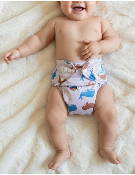 Lot de Couches lavables te1 évolutives et inserts pour bébé