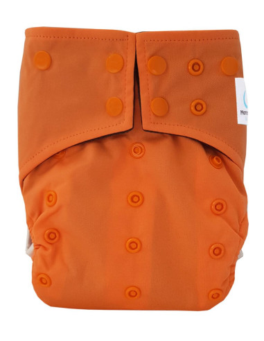 Evolutionary full washable layers while one bamboo insert