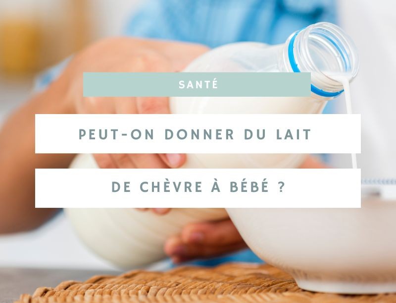 Le lait de chèvre pour bébé : une alternative aux laits infantiles classiques