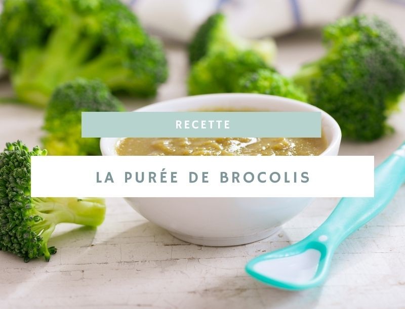 La purée de brocolis pour bébé : un incontournable des premiers repas