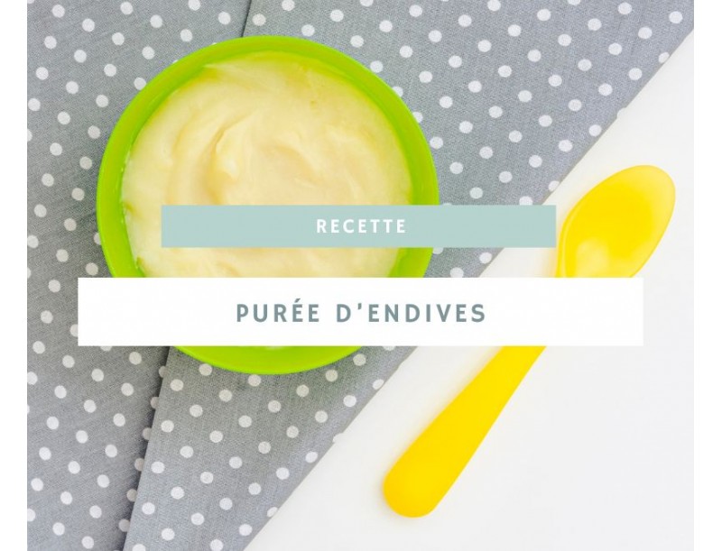 Tout savoir sur la purée d'endives bébé : un délice à découvrir