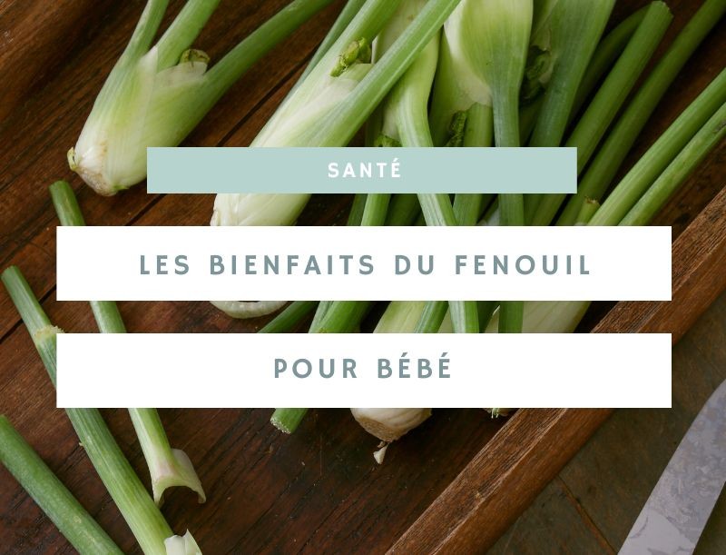 Donner la fenouille à votre bébé : bienfaits et conseils