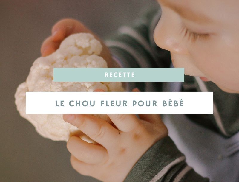 Intégration du chou-fleur dans l'alimentation de bébé : bienfaits et recettes