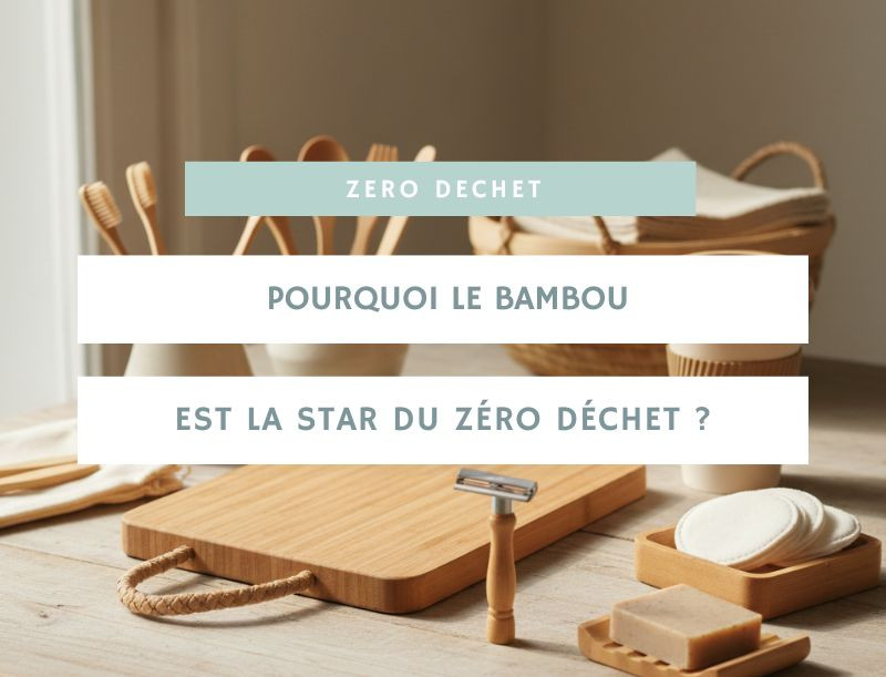 Pourquoi le bambou est la star du zéro déchet : absorbance, douceur et impact environnemental