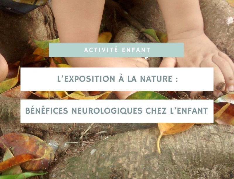 L’exposition à la nature : bénéfices neurologiques chez l’enfant